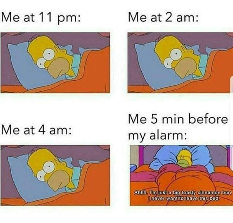 5 min before alarm meme - Me at 11 pm Me at 2 am Me at 4 am Me 5 min before my alarm Ahhh I'm just a big toasty cinnamon bun never want to leave this bed