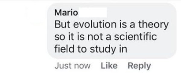 document - Mario But evolution is a theory so it is not a scientific field to study in Just now