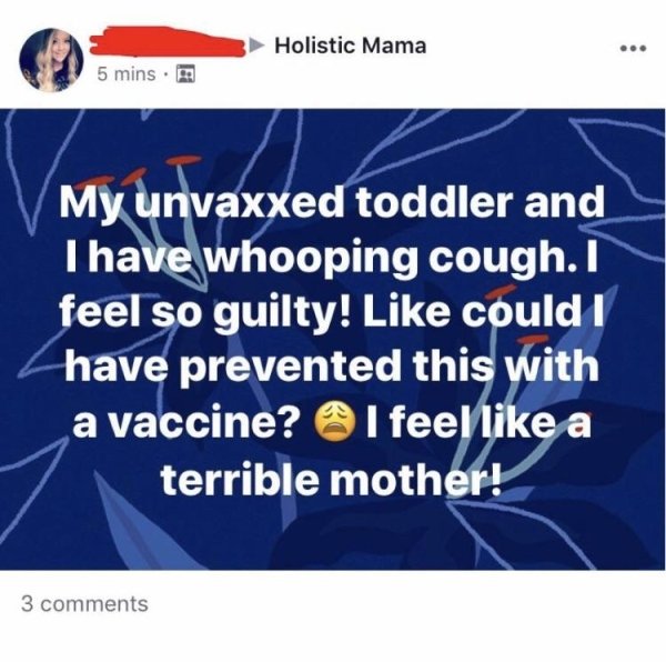 online advertising - s ming. 3 Holistic Mama Holistic Mama 5 mins. My unvaxxed toddler and Thave whooping cough. I feel so guilty! could I have prevented this with a vaccine? I feel a terrible mother! 3