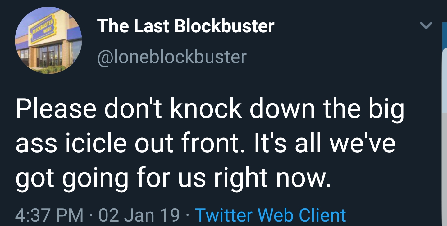 12 tweets from the last Blockbuster