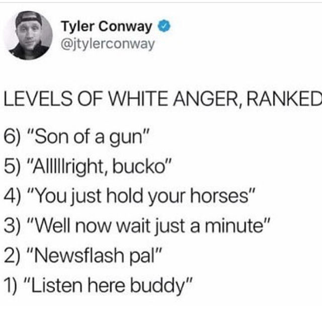 My Hero Academia - Tyler Conway Levels Of White Anger, Ranked 6 "Son of a gun" 5 "Alllllright, bucko" 4 "You just hold your horses" 3 "Well now wait just a minute" 2 "Newsflash pal" 1 "Listen here buddy"
