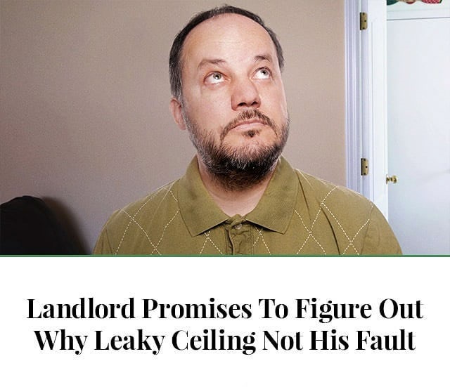 beard - Landlord Promises To Figure Out Why Leaky Ceiling Not His Fault