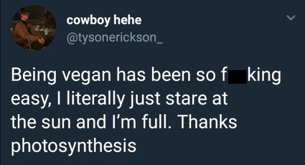 twitter pronouns meme - cowboy hehe Being vegan has been so f king easy, I literally just stare at the sun and I'm full. Thanks photosynthesis