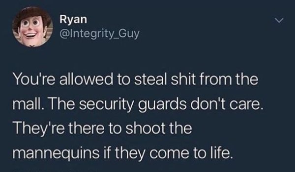 u know shes a hoe - 13 Ryan You're allowed to steal shit from the mall. The security guards don't care. They're there to shoot the mannequins if they come to life.