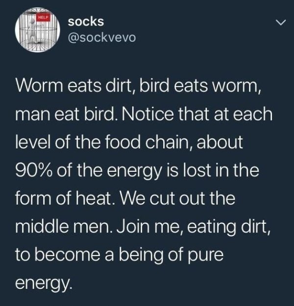 Suga - Help socks Worm eats dirt, bird eats worm, man eat bird. Notice that at each 'level of the food chain, about 90% of the energy is lost in the form of heat. We cut out the middle men. Join me, eating dirt, to become a being of pure energy.
