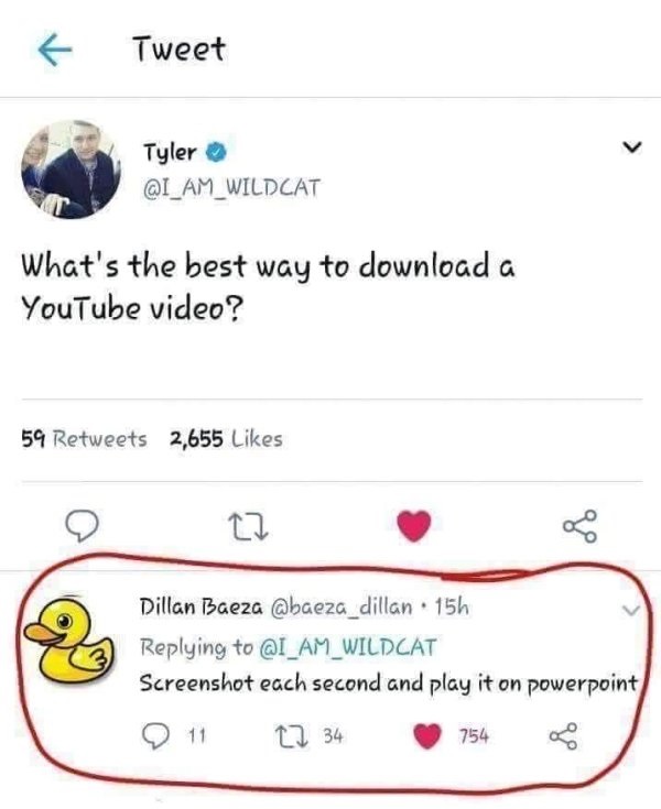 what's the best way to download a youtube video meme - Tweet Tyler What's the best way to download a YouTube video? 59 2,655 Dillan Baeza 15h Screenshot each second and play it on powerpoint 0 11 22 34 754 g
