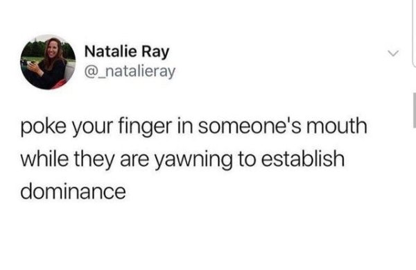sohaib athar tweet - Natalie Ray poke your finger in someone's mouth while they are yawning to establish dominance