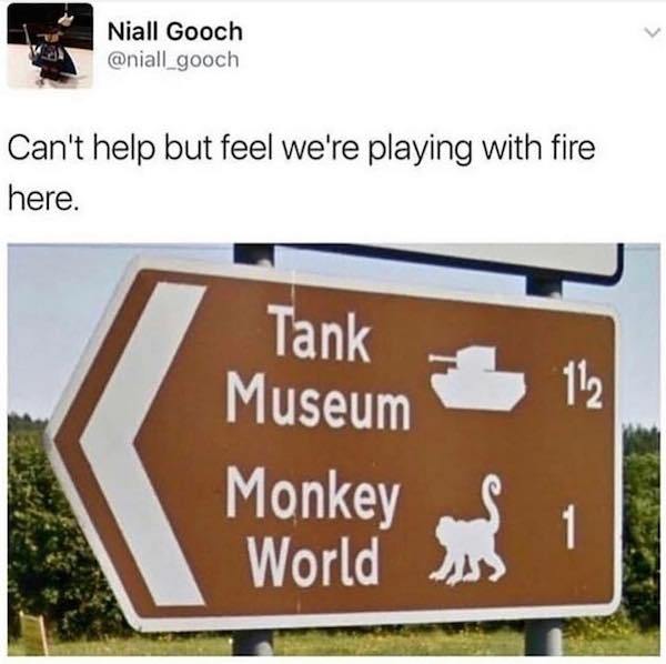 nuclear spiders vs tank monkeys - Niall Gooch Can't help but feel we're playing with fire here. Tank Museum Monkey World is