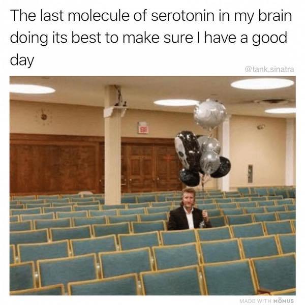 my last molecule of serotonin - The last molecule of serotonin in my brain doing its best to make sure I have a good day sinatra Made With Momus