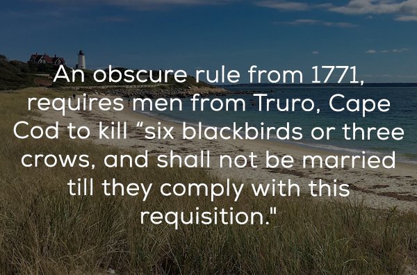 sky - An obscure rule from 1771, requires men from Truro, Cape Cod to kill six blackbirds or three crows, and shall not be married till they comply with this requisition."
