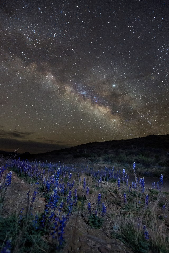 milky way over chisos blue bonnets