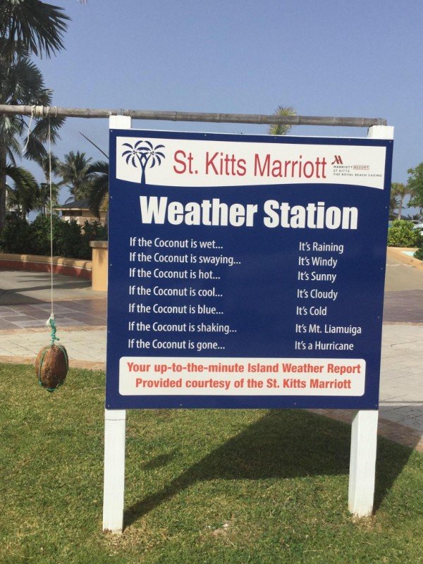 weather coconut - St. Kitts Marriott Weather Station If the Coconut is wet... If the Coconut is swaying... If the Coconut is hot... If the Coconut is cool... If the Coconut is blue... If the Coconut is shaking... If the Coconut is gone... It's Raining It'