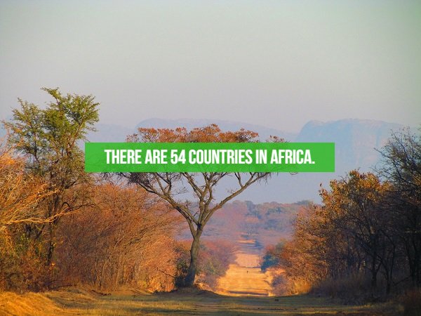 fact south african landscape trees - There Are 54 Countries In Africa.