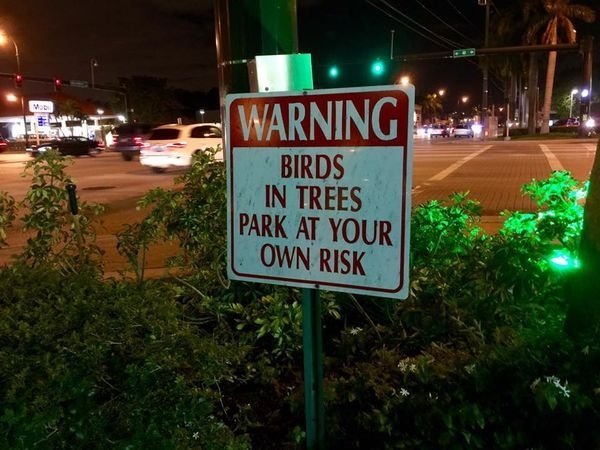 34 strange signs that for some reason exist.