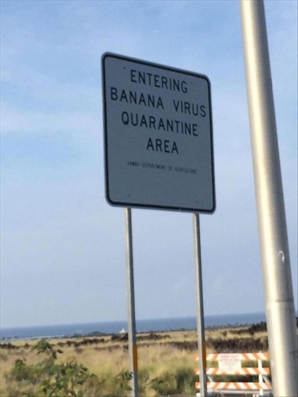 34 strange signs that for some reason exist.