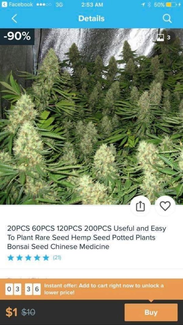 Facebook ...00 3G 1 $ 50% Details 90% a 3 20PCS 60PCS 120PCS 200PCS Useful and Easy To Plant Rare Seed Hemp Seed Potted Plants Bonsai Seed Chinese Medicine 21 o 2 2 6Instant offer Add to cart right now to unlock a lower price! $1 $10 Buy