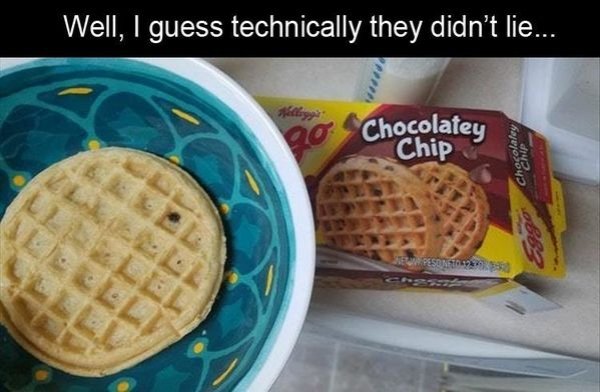 expectation vs reality waffle - Well, I guess technically they didn't lie... Chocolatey Chip Chocolatos W Pesona
