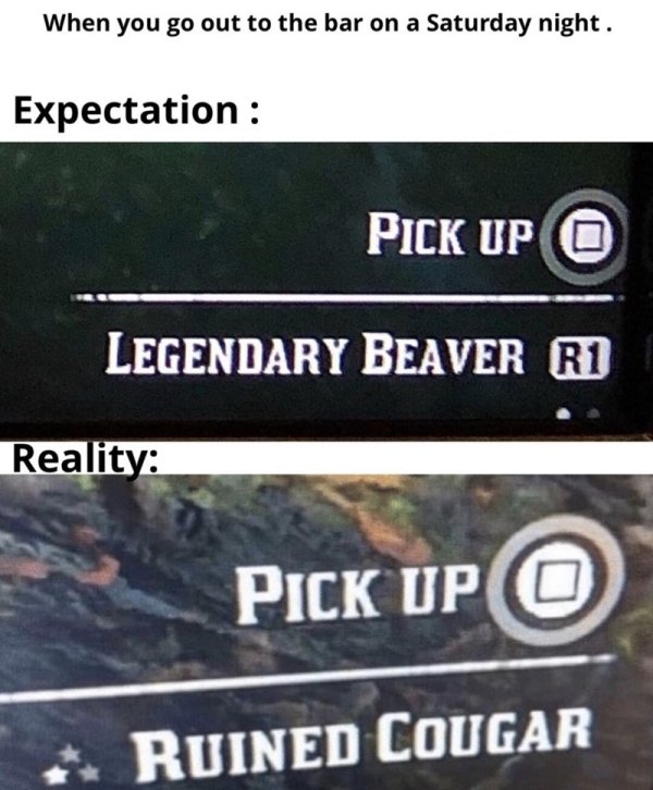 expectation vs reality think out of the box - When you go out to the bar on a Saturday night. Expectation Pick Up @ Legendary Beaver R1 Reality Pick Up O Ruined Cougar