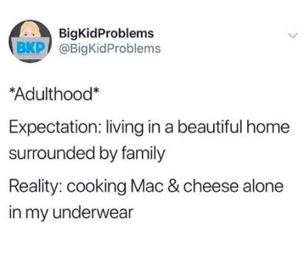 expectation vs reality document - Big KidProblems Bkp Adulthood Expectation living in a beautiful home surrounded by family Reality cooking Mac & cheese alone in my underwear