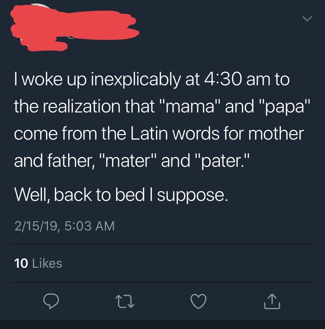 screenshot - Twoke up inexplicably at to the realization that "mama" and "papa" come from the Latin words for mother and father, "mater" and "pater." Well, back to bed I suppose. 21519, 10