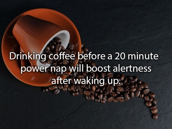 커피 ppt 템플릿 - Drinking coffee before a 20 minute power nap will boost alertness after waking up