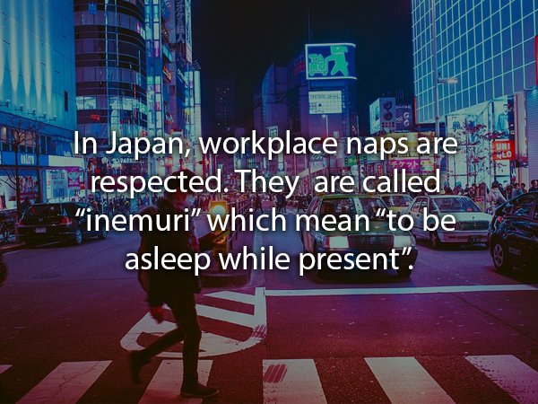 japan glitch - In Japan, workplace naps are respected. They are called un "inemuri which mean "to be asleep while present".