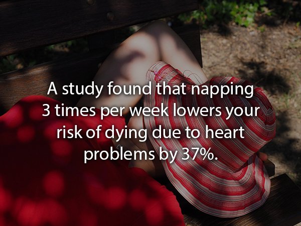 Sleep - A study found that napping 3 times per week lowers your risk of dying due to heart problems by 37%.