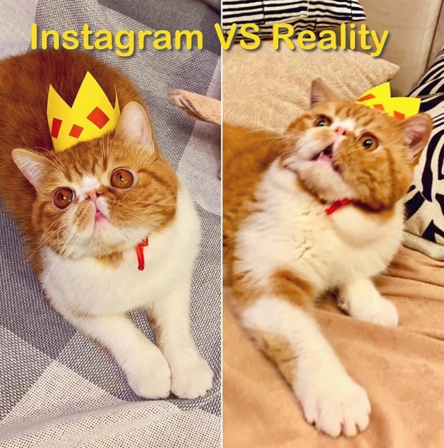 photo caption - Instagram Reality