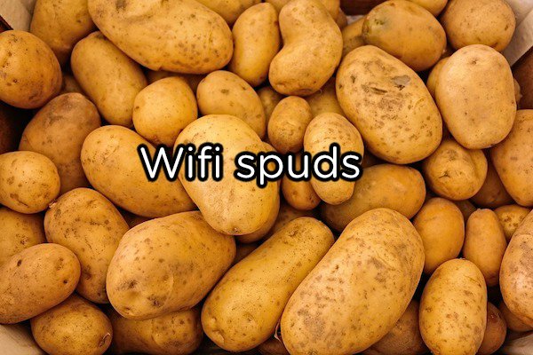 Potatoes can reflect and absorb wi-fi signals.