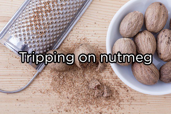 Eating too much nutmeg can get you high.