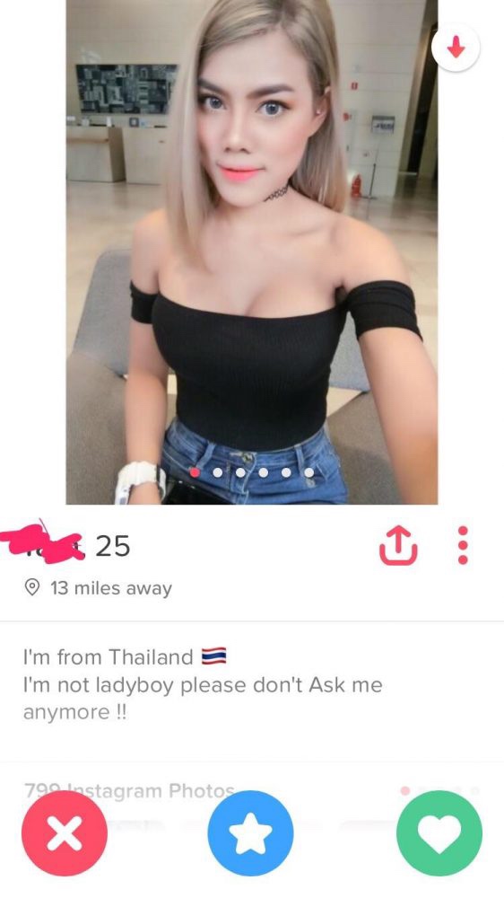 tinder - worst tinder profiles - T 25 13 miles away I'm from Thailand I'm not ladyboy please don't Ask me anymore !! 790 Instagram Photos X