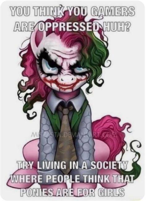 we live in a society meme - You Think You Gamers Are Oppressed Huh? Esta Deva Try Living In A Society Where People Think That Ponies Are Eor Girls