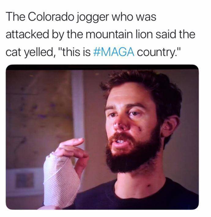jussie meme - The Colorado jogger who was attacked by the mountain lion said the cat yelled, "this is country."