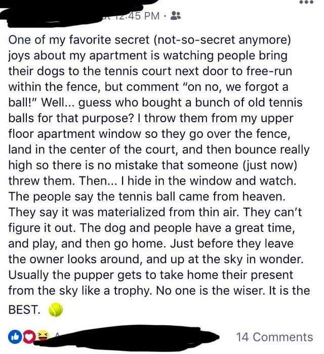 document - 12.45 Pm One of my favorite secret notsosecret anymore joys about my apartment is watching people bring their dogs to the tennis court next door to freerun within the fence, but comment "on no, we forgot a ball!" Well... guess who bought a bunc
