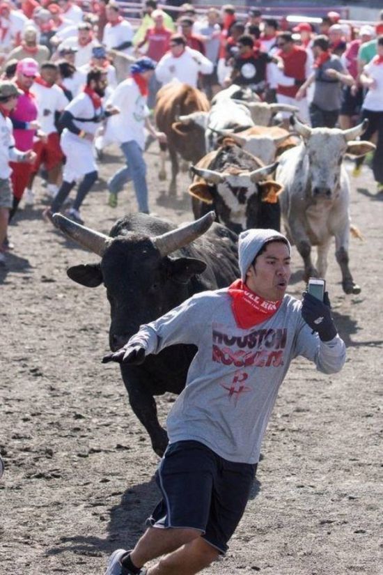 bull run selfie