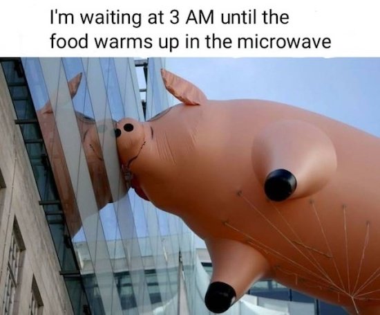 I'm waiting at 3 Am until the food warms up in the microwave