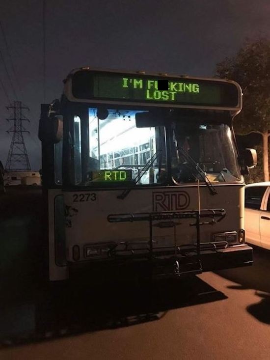 im fucking lost bus