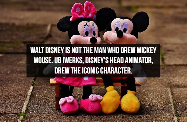 mickey mouse doll - Walt Disney Is Not The Man Who Drew Mickey Mouse. Ub Iwerks. Disney'S Head Animator. Drew The Iconic Character.