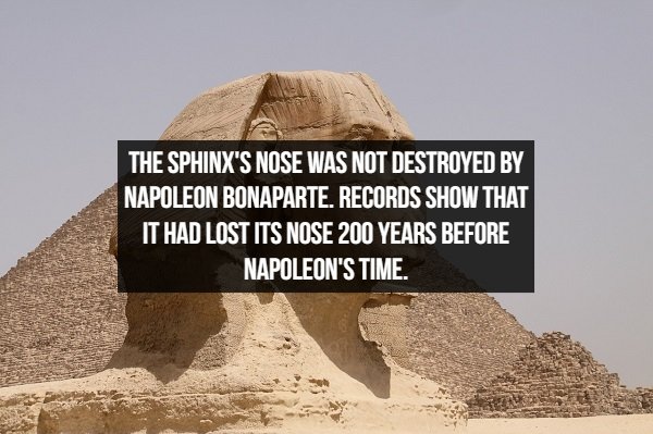 great sphinx of giza - The Sphinx'S Nose Was Not Destroyed By Napoleon Bonaparte. Records Show That It Had Lost Its Nose 200 Years Before Napoleon'S Time.