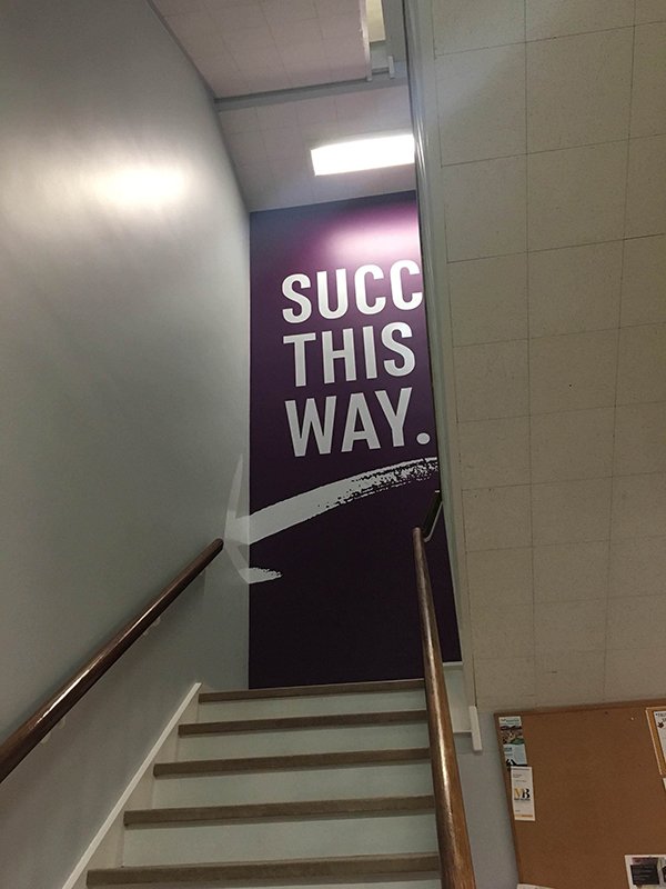 daylighting - Succ This Way.