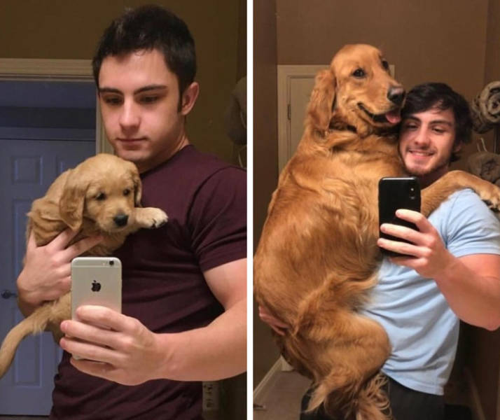 Puppy and after one year.