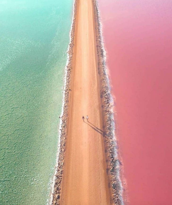 A road separating a lake in South Australia.