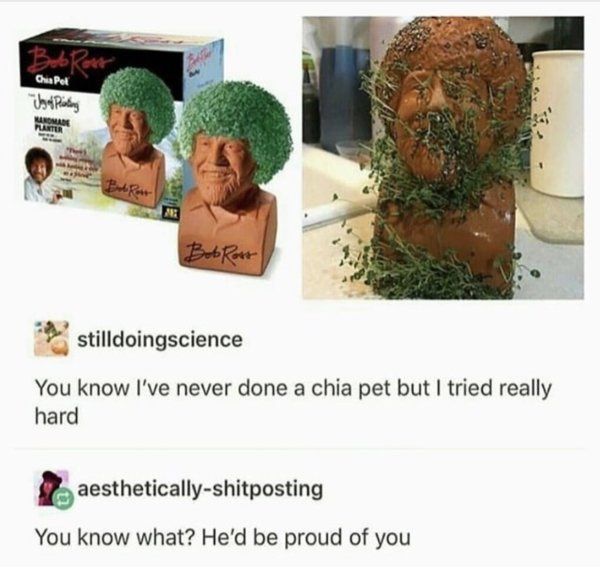 bob ross chia pet meme - Chia pel igor Pinting Marter Bob Rost stilldoingscience You know I've never done a chia pet but I tried really hard aestheticallyshitposting You know what? He'd be proud of you
