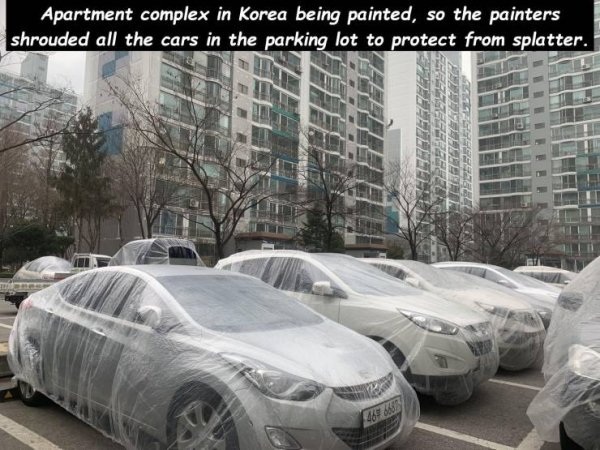 luxury vehicle - Apartment complex in Korea being painted, so the painters shrouded all the cars in the parking lot to protect from splatter. Pepeeeeeele Sara
