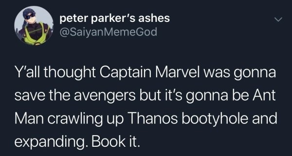 presentation - peter parker's ashes MemeGod Y'all thought Captain Marvel was gonna save the avengers but it's gonna be Ant Man crawling up Thanos bootyhole and expanding. Book it.