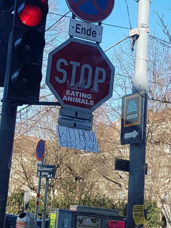 street sign - Ende Ctod Eating Animals Hofer 16.1obmeyr gasse Chil