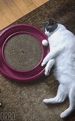 17 Endless GIFs For Your Viewing Pleasure
