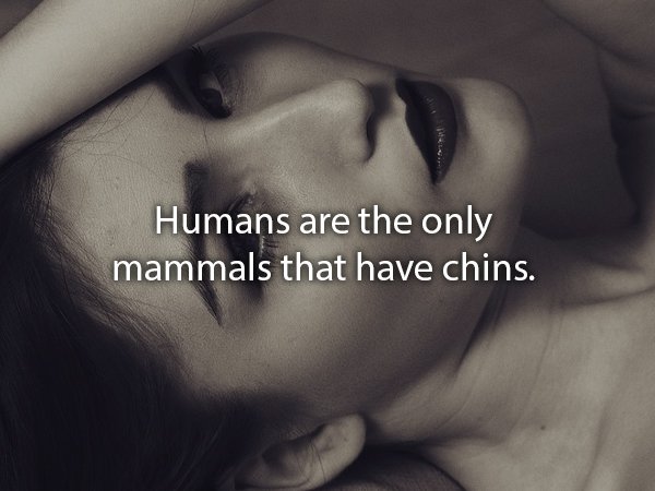 22 Amazing facts about the human body.