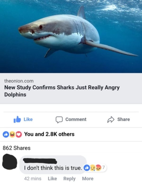 dolphins and sharks together - theonion.com New Study Confirms Sharks Just Really Angry Dolphins Comment You and others 862 I don't think this is true. 42 mins More