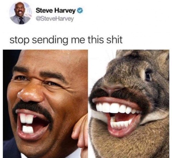 steve harvey meme - Steve Harvey Harvey stop sending me this shit adam there